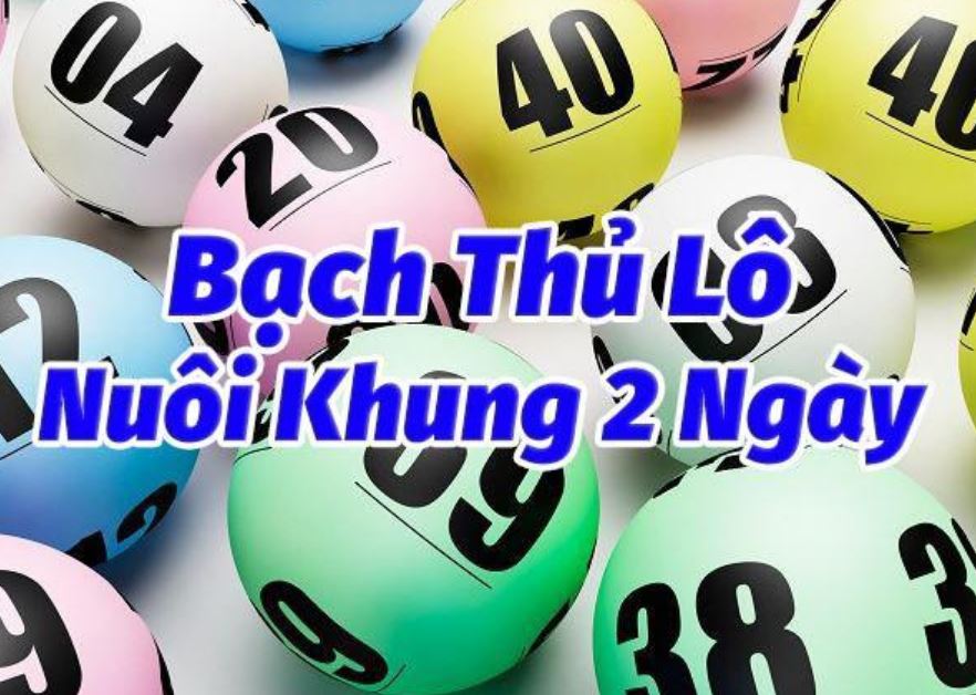 Chia sẻ bí quyết soi cầu bạch thủ lô cực hiệu quả tại P3 4 Cách nuôi bạch thủ lô ít người biết nhưng cực kỳ hiệu quả