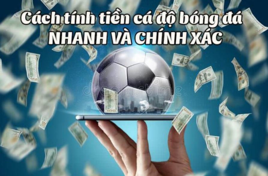 Hướng dẫn cược thủ cách tính tiền cá độ tại nhà cái P3