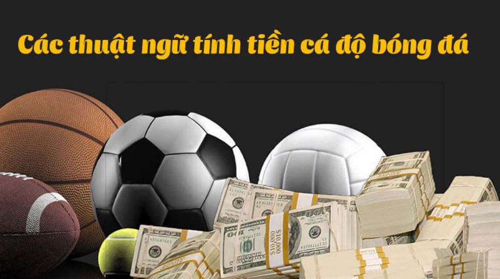 Những thuật ngữ cần biết khi tính tiền cá độ tại P3BET